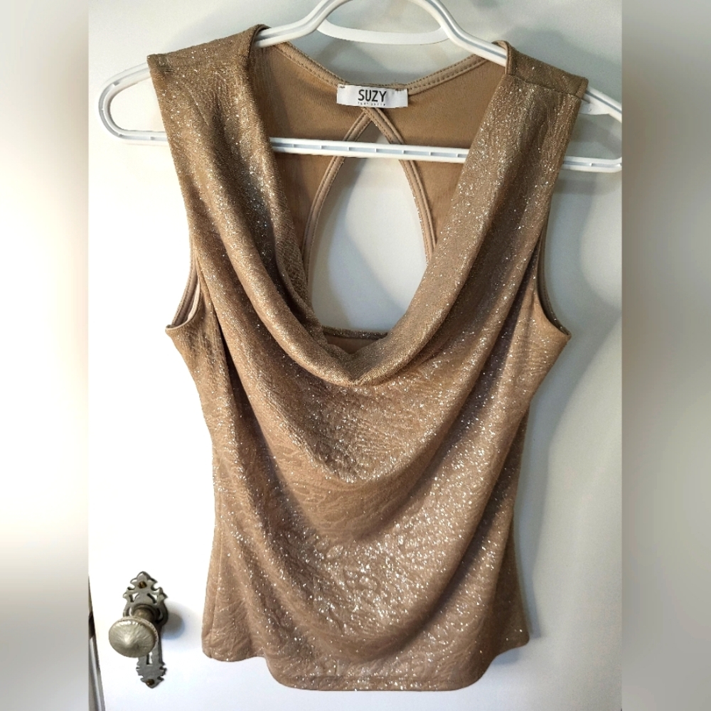 Glittery Champagne Sleeveless Top